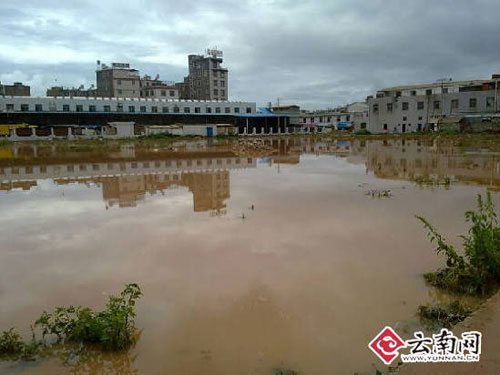 昆明呈贡县遇强降雨近8万人受灾(组图)
