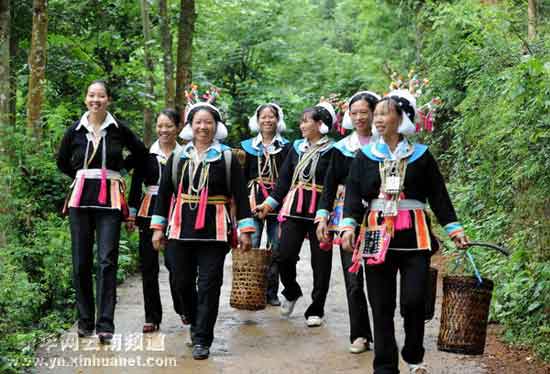 组图:云南文山州特产带动当地民众增收