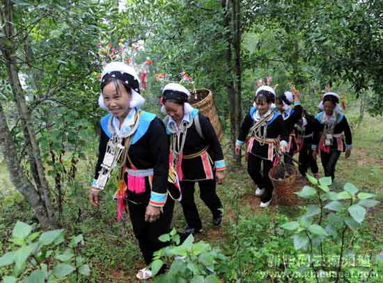 组图:云南文山州特产带动当地民众增收