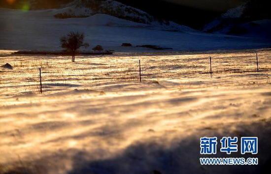 这是科右前旗满族屯满族乡被大雪覆盖的草场上刮起白毛风。新华社记者 任军川摄 (资料图)