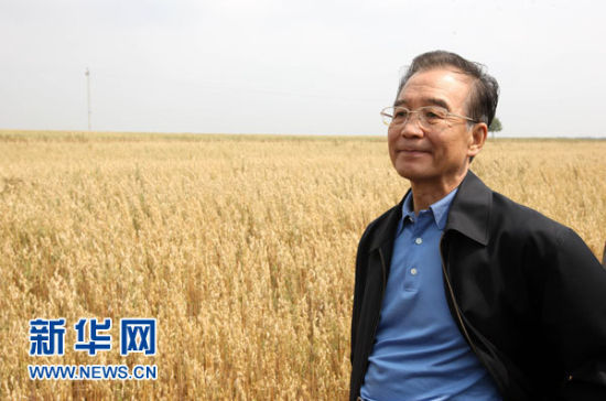 8月27日，温家宝在康保县丹清河乡察看万亩旱作莜麦田，了解莜麦产量、价格情况。?新华社姚大伟摄
