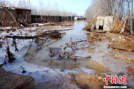 新疆伊犁发生洪灾5700亩耕地被淹(图)