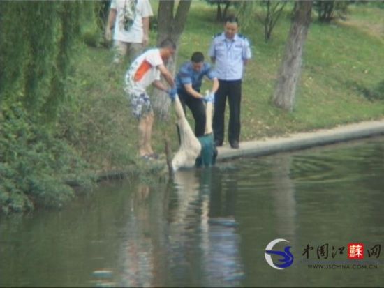 南京阅江楼护城河发现漂浮女尸