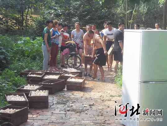 宁晋商务局驻西王里村工作组暴雨中抢救受灾鸡