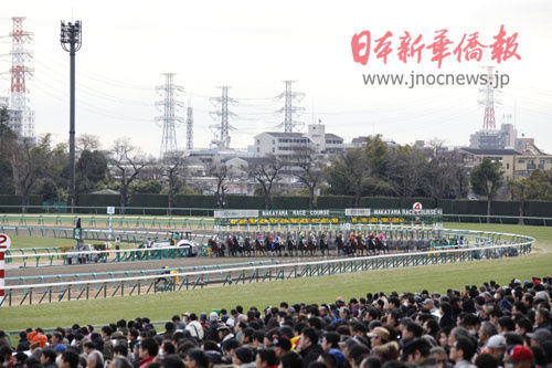 在日华人组团体验赛马文化 称马场如主题公园