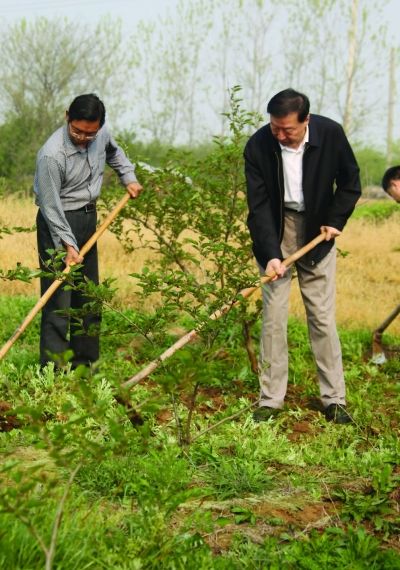 图为省委书记罗志军在句容市茅山镇丁家边村驻点调研时，和村民群众一起为桑葚地锄草。于先云摄