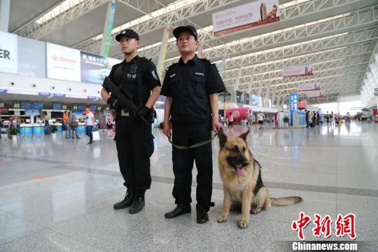 武汉启用警犬进驻机场地铁站等场所巡逻(图)|武