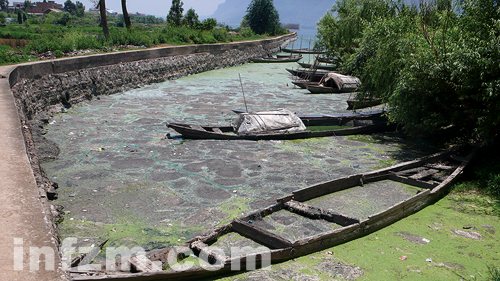 安徽云南藍(lán)藻再次爆發(fā)凸顯中國(guó)式治水困境