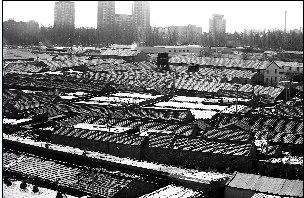 北京村庄因拆迁暴富全村一年增六百辆私家车