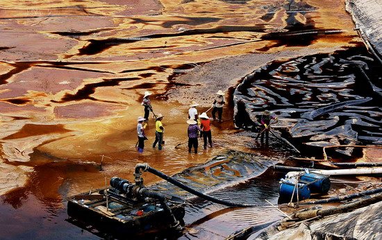 紫金矿业污染汀江流域调查:政府动员养殖户转产