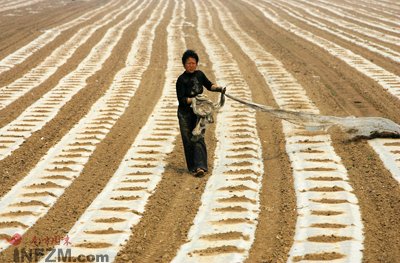 我国打响灾年粮食保卫战:确保秋粮稳定价格
