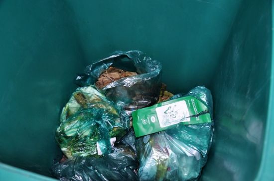 社区的垃圾桶内外壁十分干净，得益于专业人员每天的清洗（摄影 刘东伟）.jpg