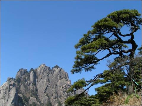 温泉景区迎客 黄山四绝团聚_天气预报