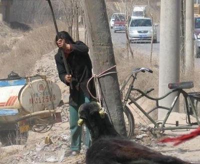 ��ʵ��Ů������ɱ¿