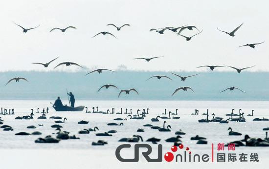 鄱阳湖人与鸟和谐共处——鄱阳湖湿地公园供图