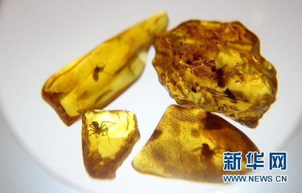 俄罗斯加里宁格勒琥珀博物馆 琥珀制作的棋子