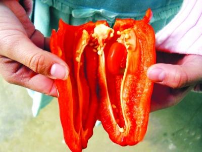 ��������������С����