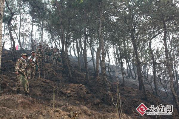 保山隆阳区积极扑救3·08火灾(组图)