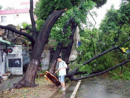 广东佛山发生雷雨大风冰雹灾害已致12死_天气预报