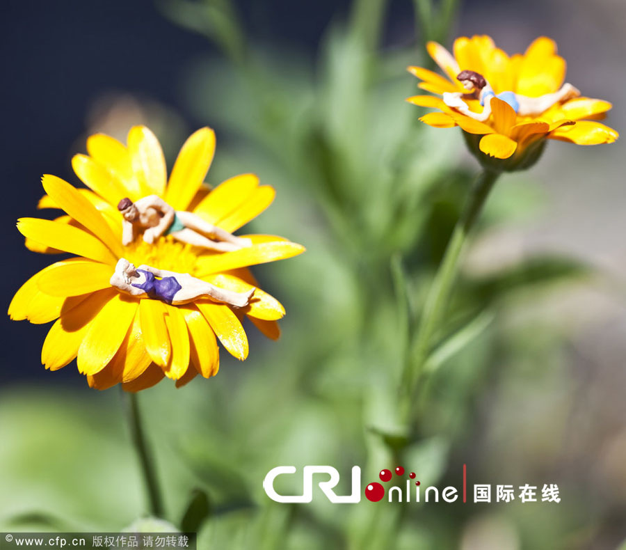 一花一世界 法艺术家用塑料小人打造微观王国