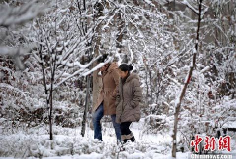 冷空气入侵 新疆伊犁河谷降下大雪(组图)_天气