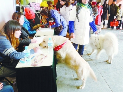 �Լ�ǩ������