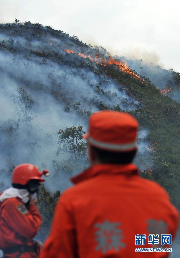 澳大利亚山火卷土重来,已肆虐7周,为什么澳洲很容易...