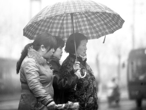 初春细雨绵绵洒,水珠飞溅清新至