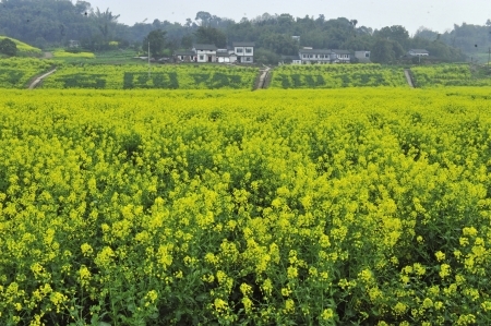 ȫ���κεط������µ��ڶ�����ܺȵ����ݾ�