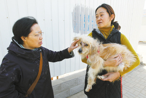 人狗情未了:枯井生存一个月的故事_新闻中心