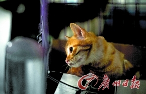 ��è�����ضȾ�ϵ��O����