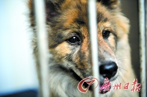 ��è�����ضȾ�ϵ��O����