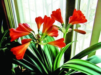 ���������������뿪��