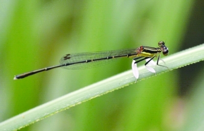 С���Ѵ�ѥ��