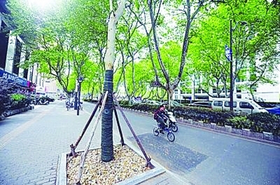 �е���Ϊ�γ��괩����