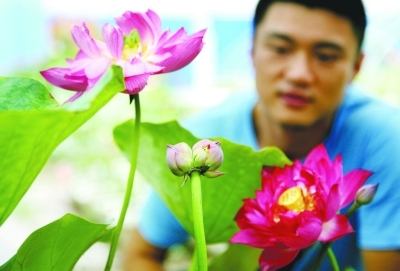 ����������Ī�����԰