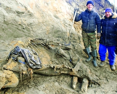 俄罗斯发现完整猛犸象躯体