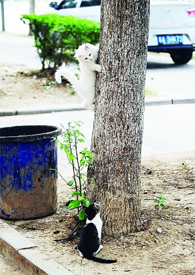 �б�������������