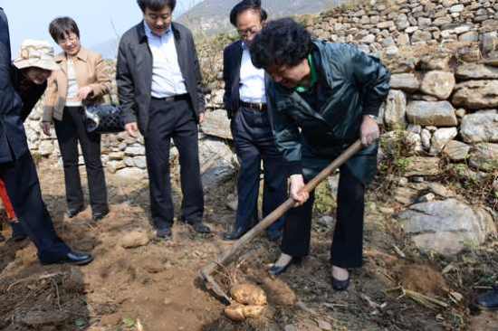 ������������ϯ���ſ����������ũ��