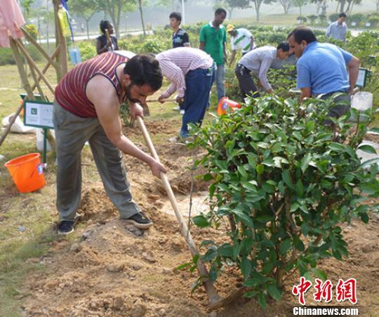 中国首个援外茶食品培训班学员栽种和平树