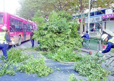 ������һ�����֦�����ϰ�·