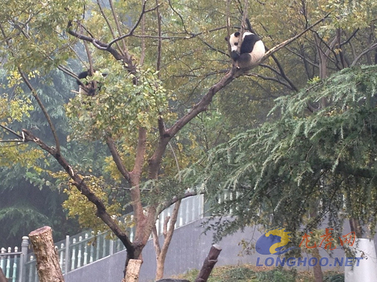 ����è�������������������ƺ���춼����������