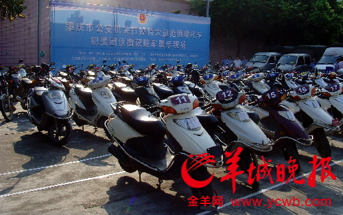 肇庆警方打掉4个盗销摩托车犯罪团伙