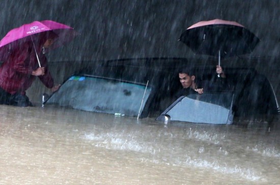 海燕的最新图片 2744114898.jpg