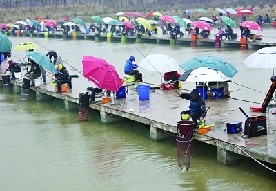 全国钓鱼邀请赛南京开赛