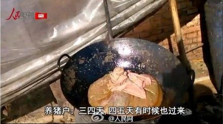 调查:金龙鱼地沟油事件引蝴蝶效应 方便面名企