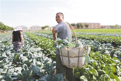 延庆有机农业的康庄大道