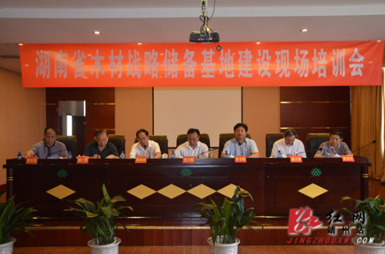 湖南省木材战略储备基地建设现场会在靖州召开