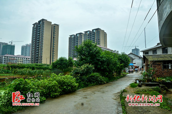 新化5里接力众人划桨开大船 帮扶白沙村双创