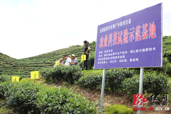 做好农业科技试验示范基地的试验示范,带动特色农业产业的快速发展